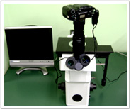 Electron microscope